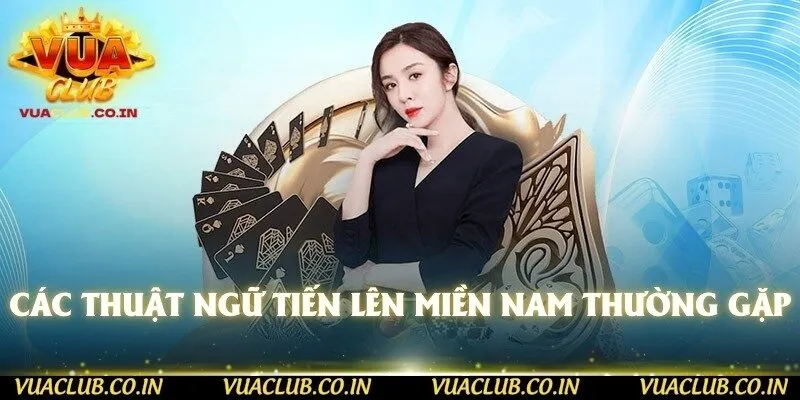 Các thuật ngữ Tiến Lên Miền Nam thường gặp