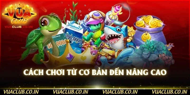 Cách chơi từ cơ bản đến nâng cao 