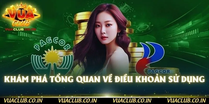 Khám phá tổng quan về điều khoản sử dụng 