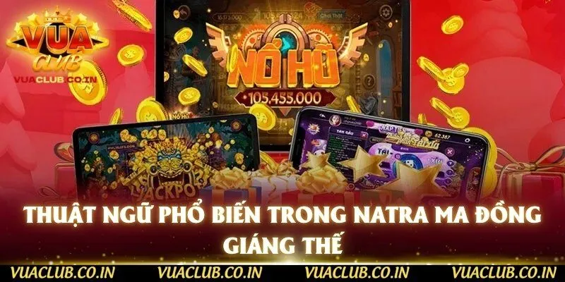 Thuật ngữ phổ biến trong NaTra Ma Đồng Giáng Thế
