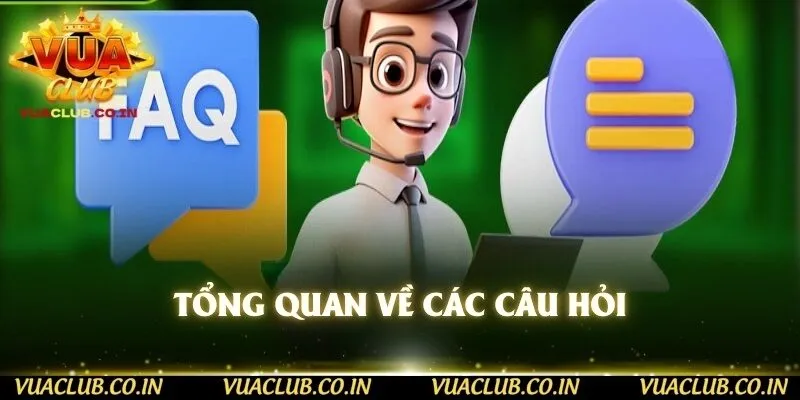 Tổng quan về các câu hỏi 